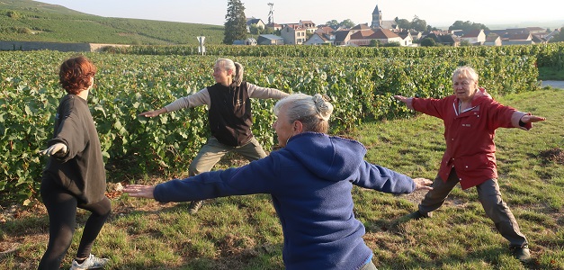 vendanges 2024 photo 10