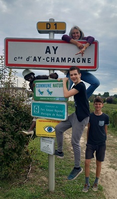 vendanges 2024 photo 12