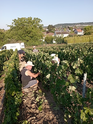 cueillette en basse moque bouteille