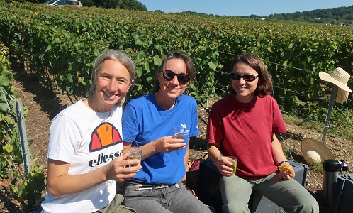 vendanges 2024 photo 4