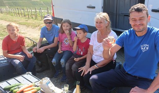 vendanges 2024 photo 5bis