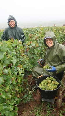 vendanges 2024 photo 6