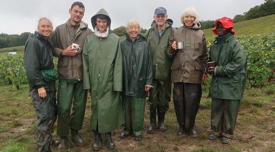 vendanges 2024 photo 8