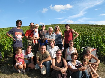 Vendanges 2014